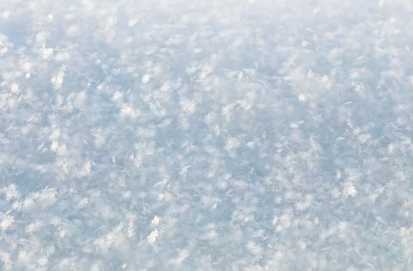 新鮮な白い雪の背景 — ストック写真