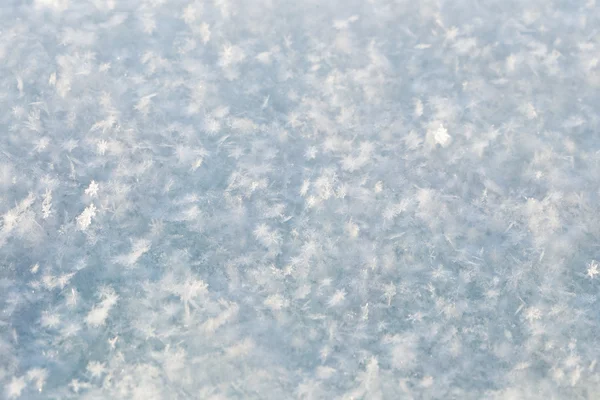 Świeży śnieg białe tło — Zdjęcie stockowe
