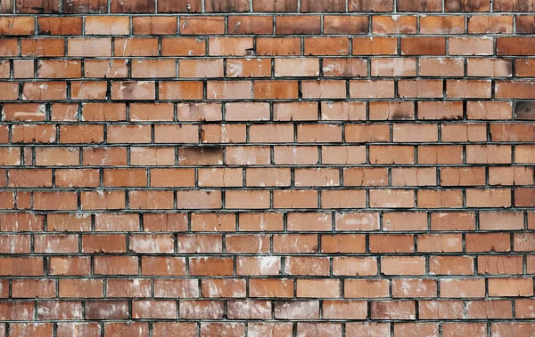 Tegelväggsstruktur — Stockfoto