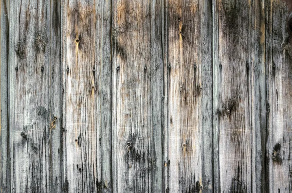 Texture de mur en bois — Photo