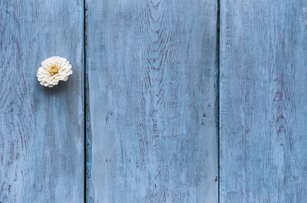 Flower on old wooden background — Stock Photo, Image