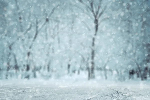 Fundo Inverno Floresta Azulada Com Neve — Fotografia de Stock