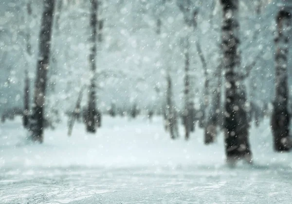 Зимний Фон Размытый Лес Снегом — стоковое фото