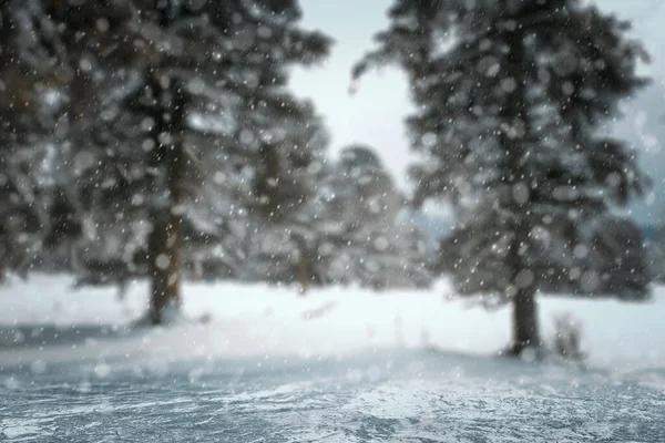 冬の背景雪に覆われた森 — ストック写真