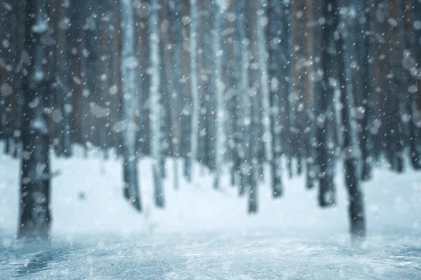 Tło Zimowe Rozmazany Las Śniegiem — Zdjęcie stockowe