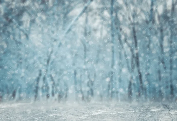 冬の背景雪に覆われた森 — ストック写真