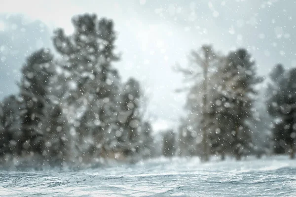 Fundo Inverno Floresta Azulada Com Neve — Fotografia de Stock
