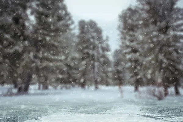 冬の背景雪に覆われた森 — ストック写真