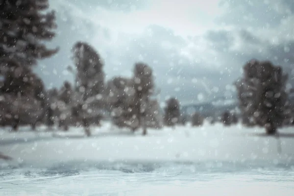 Winter Background Blured Forest Snow — Stock Photo, Image