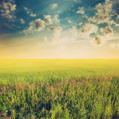 gökyüzü ve alanlar