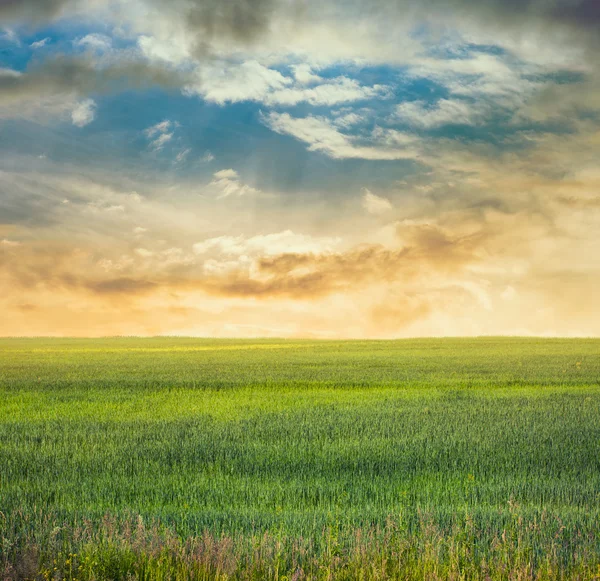 Sky and fields — Stock Photo, Image