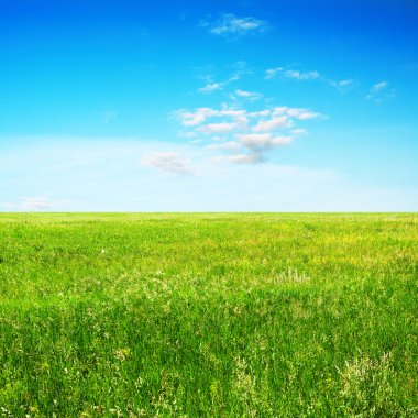 Gökyüzü ve yaz alan