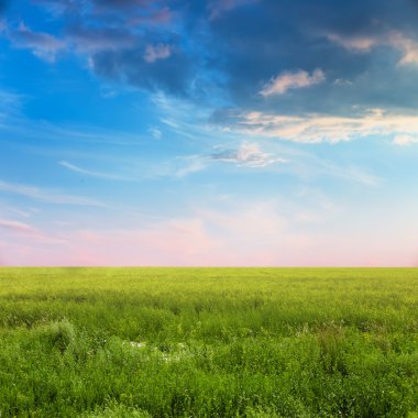 gökyüzü ve yaz alanları 