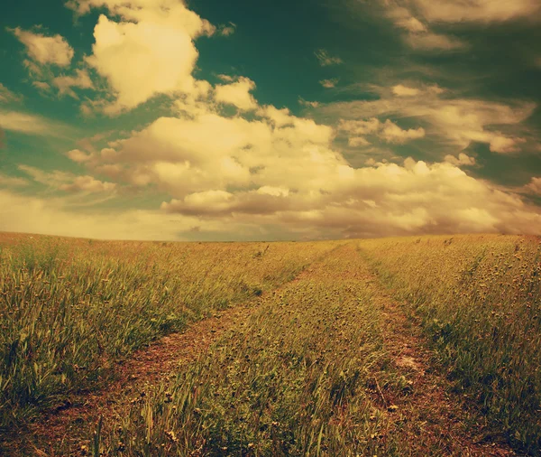 Strada di campagna nei campi — Foto Stock