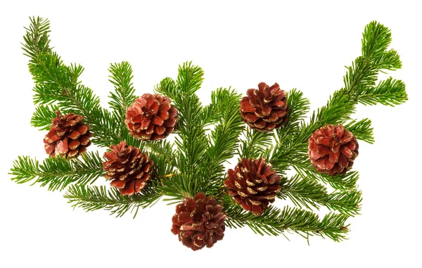 Kerstdecoratie geïsoleerd — Stockfoto