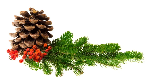 Kerstdecoratie geïsoleerd — Stockfoto