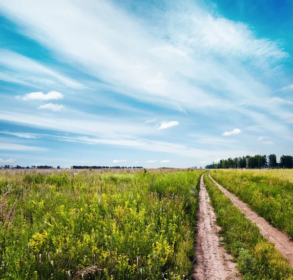 Sky and summer field — Stock Photo, Image