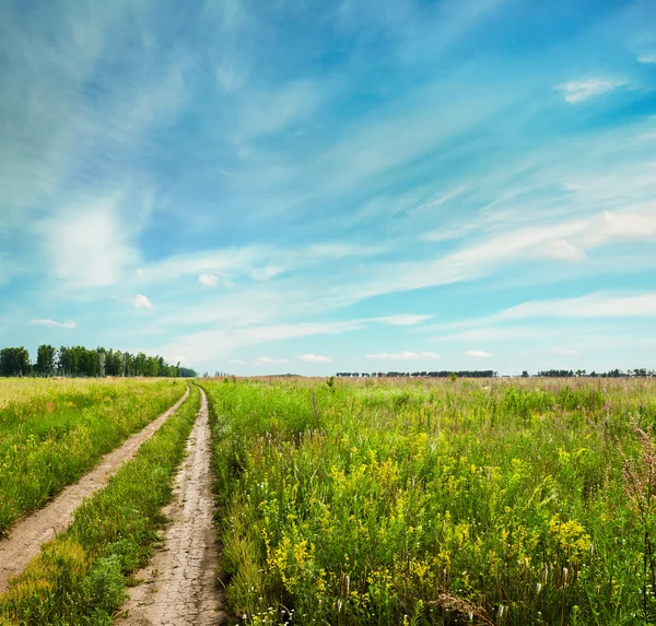 Cielo y campo de verano — Foto de Stock