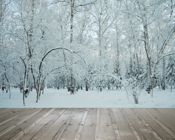 Woods and wooden floor — Stock Photo, Image