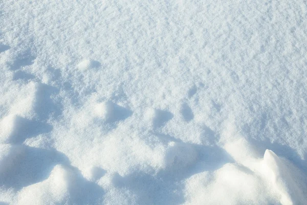 白い雪の美しい質感 — ストック写真