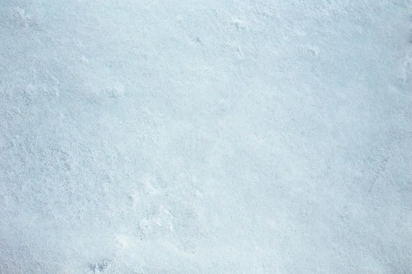 蓝色雪背景 — 图库照片
