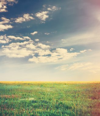 gökyüzü ve yaz alanları