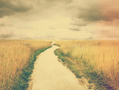 Asfalt yol alanında