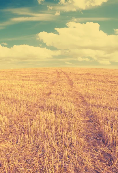 Camino de campo en los campos — Foto de Stock