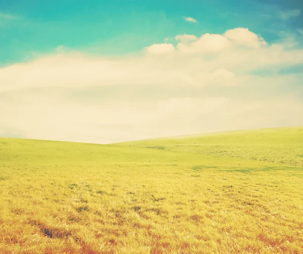 Sky and summer fields — Stock Photo, Image