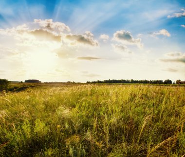 Güzel gün batımı alanları