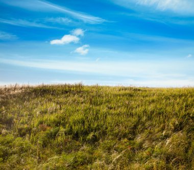 gökyüzü ve yaz alanları
