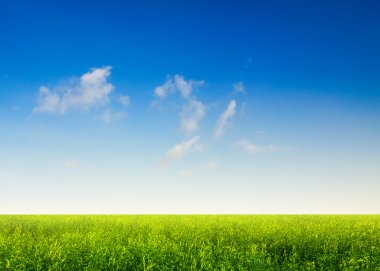 Gökyüzü ve yeşil alanları