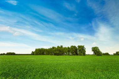 Güzel gökyüzü ve yeşil alanlar