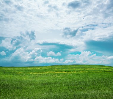 gökyüzü ve yaz alanları