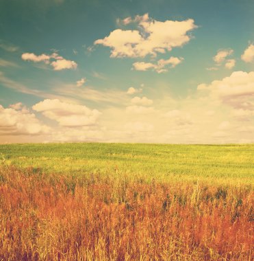 güzel gökyüzü ve yaz alanları