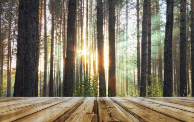 Orman ve ahşap zemin