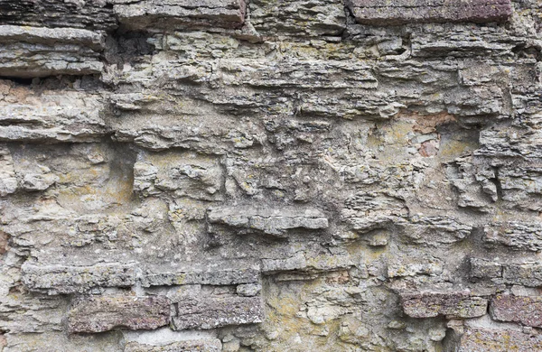 Grunzende graue Steinmauer — Stockfoto