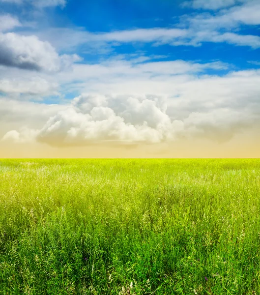Bellissimo cielo e campi verdi — Foto Stock