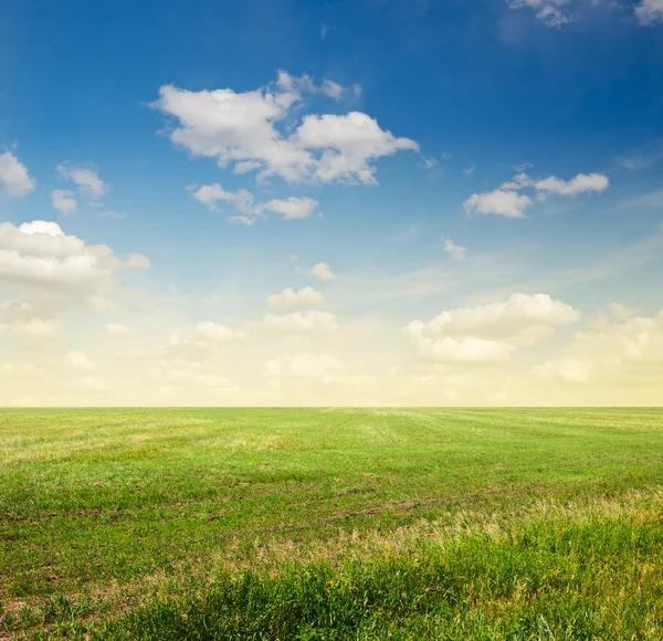 Bellissimo cielo e campi verdi — Foto Stock