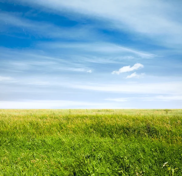 Beau ciel et champs verts — Photo