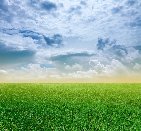 Cielo del atardecer y campos verdes —  Fotos de Stock