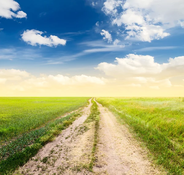 Rurale landschap met landweg — Stockfoto