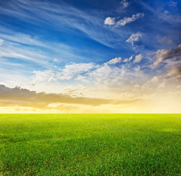 Coucher de soleil ciel et champs verts — Photo