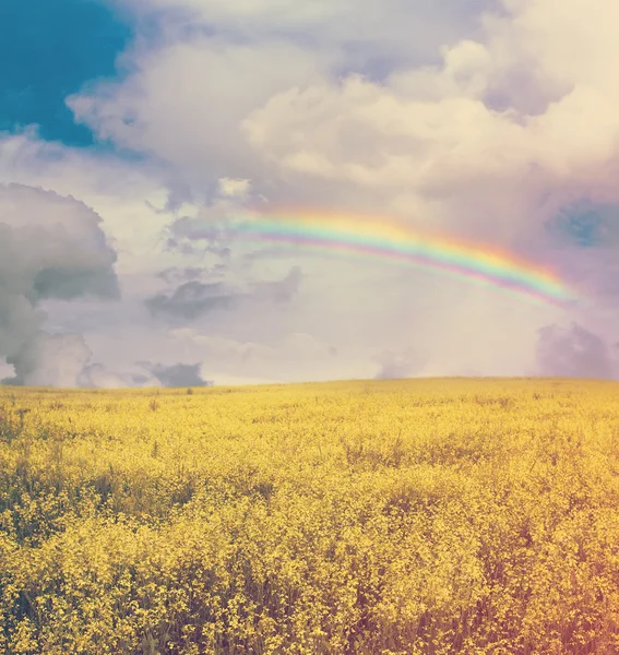 Céu com arco-íris e campo — Fotografia de Stock