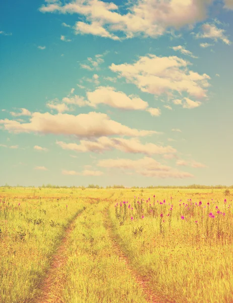 Strada di campagna nei campi — Foto Stock