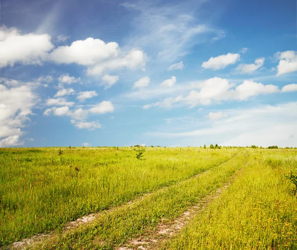 Road in velden en hemel — Stockfoto