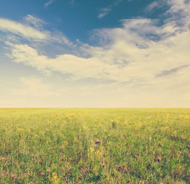 Gökyüzü ve yeşil alanları