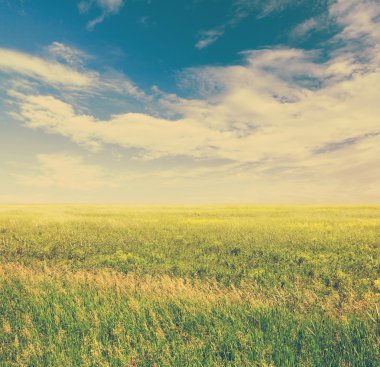 Gökyüzü ve yeşil alanları