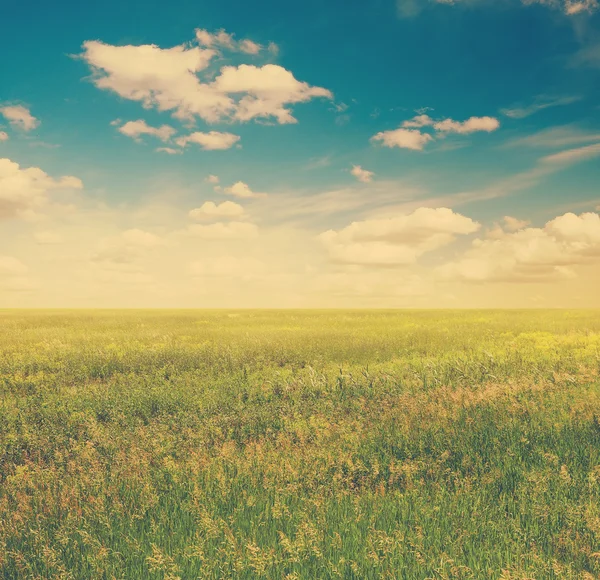 Cielo y campos verdes — Foto de Stock