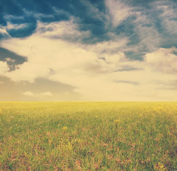 Cielo e campi verdi — Foto Stock